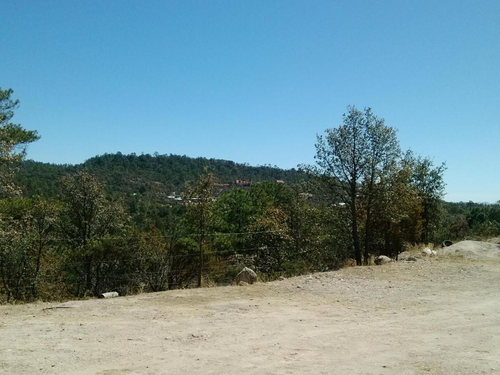 Cabanas Los Portales Barrancas Del Cobre Areponapuchi Exterior photo
